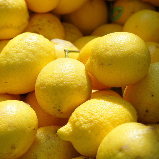 Growing Meyer Lemon Trees in Canada: Your Top Questions Answered