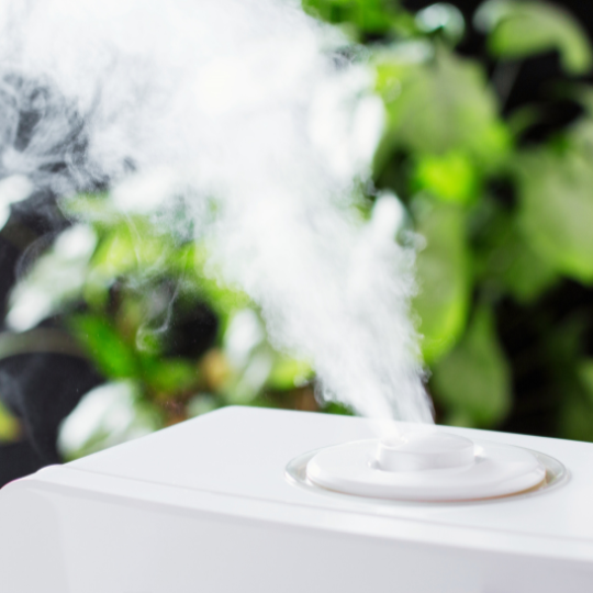 Top 6 Best Humidifiers for Plants - in Canada