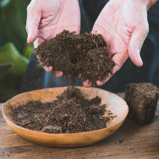person holding loose coco coir in their hands