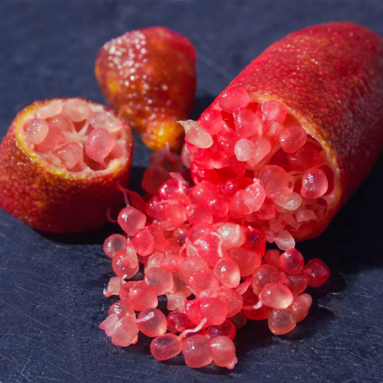 Ruby My Dear Finger Lime
