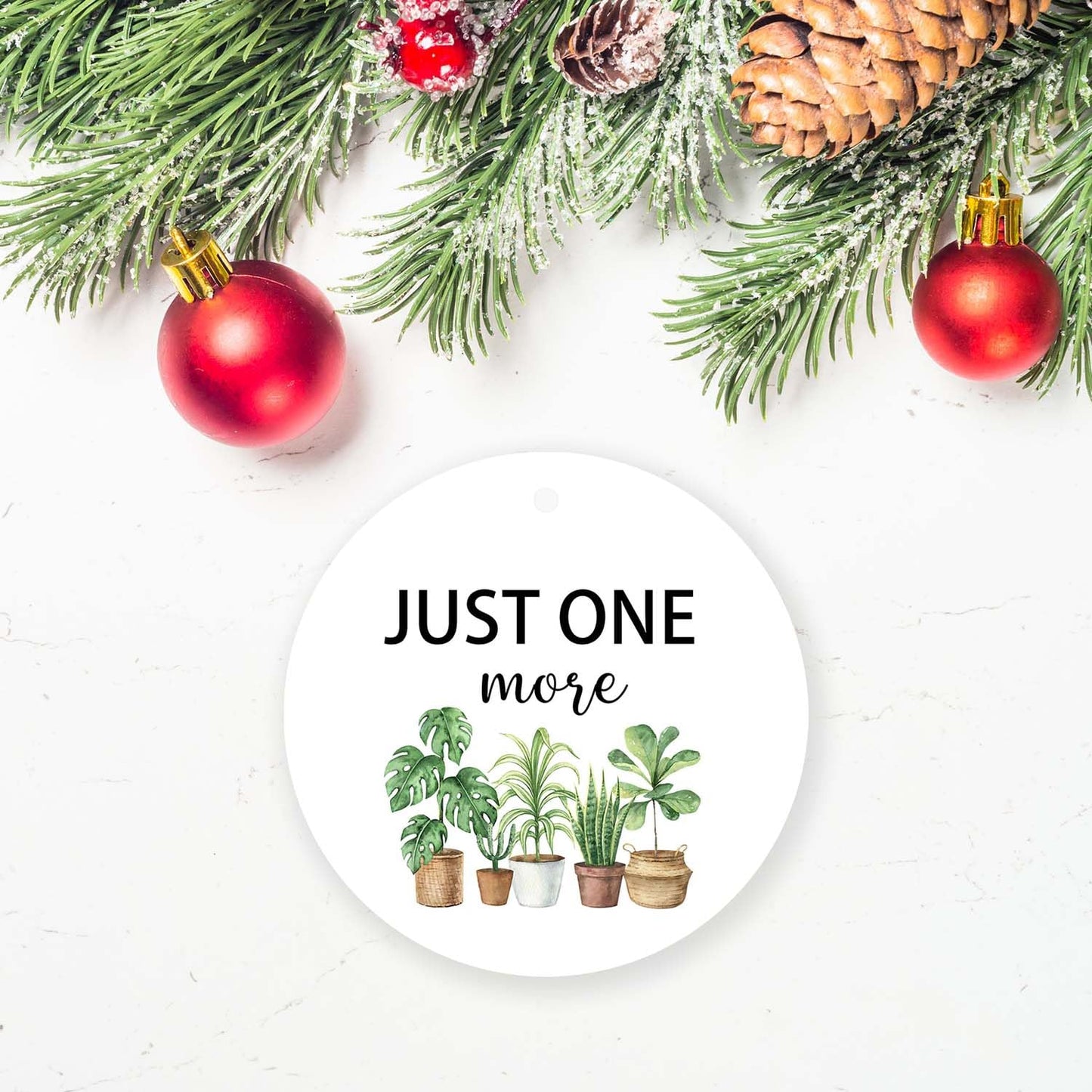 Ceramic Christmas Ornaments for Plant Lovers