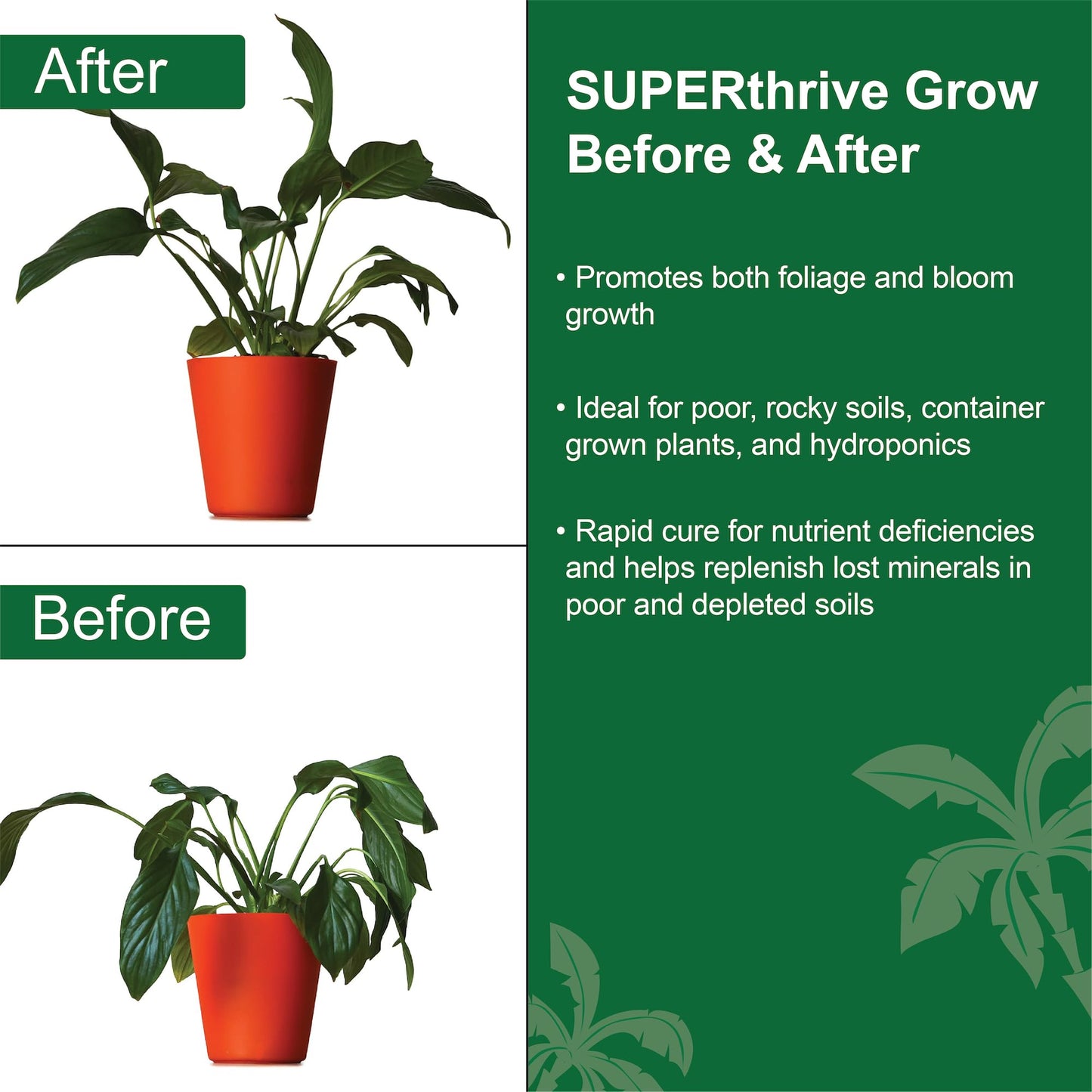 SUPERThrive Grow 7-9-5 Plant Food, 8 oz.
