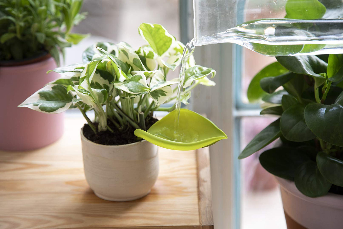 Leaf-Shaped Plant Watering Funnels (Set of 3)