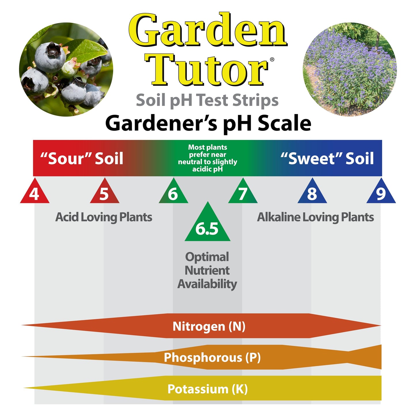 Soil pH Test Kit (3.5-9 Range) | 100 Soil pH Test Strips