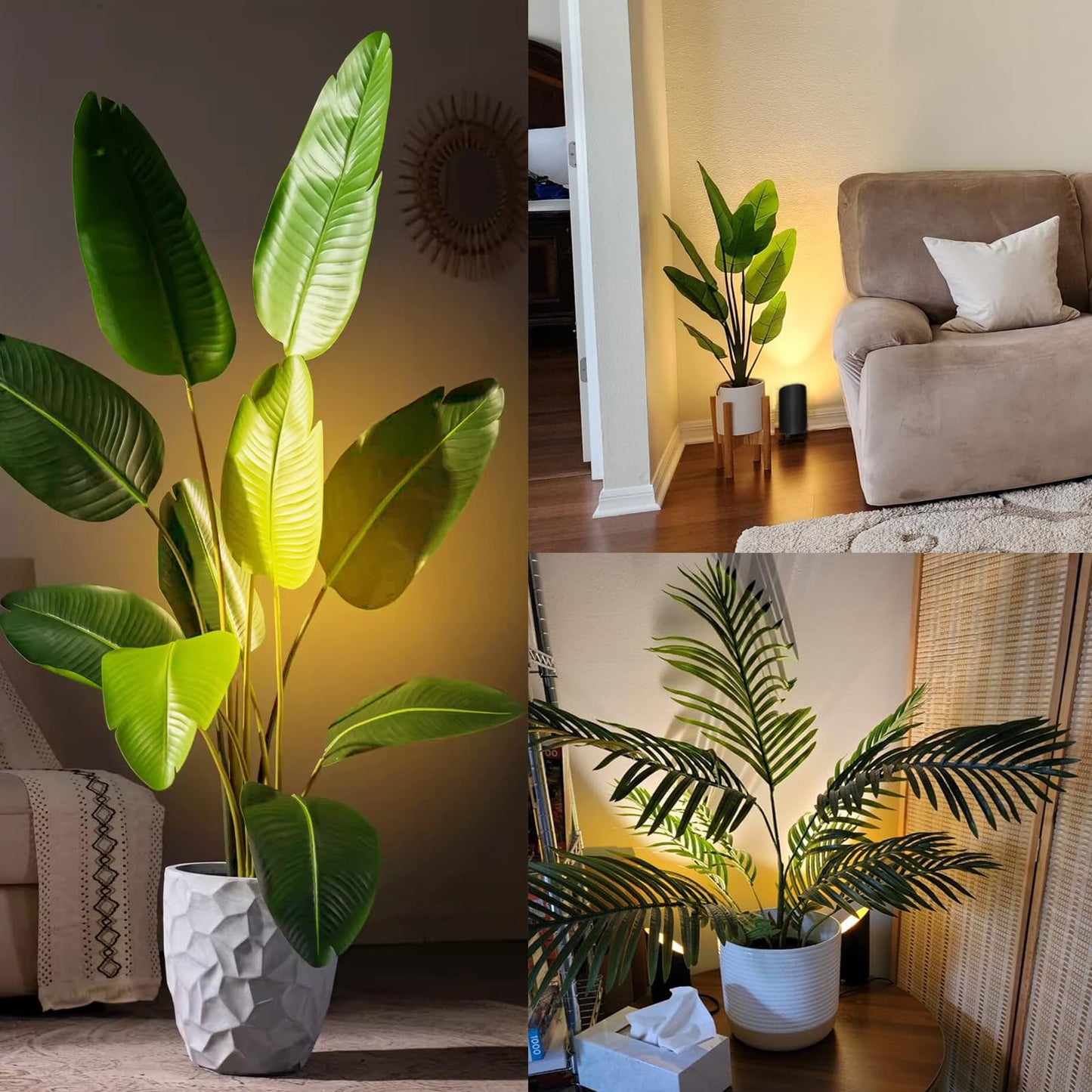 Accent Lighting for Plants