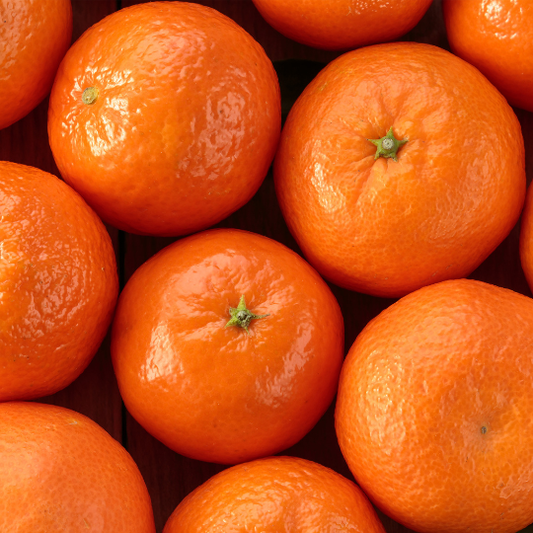 Clementine Plant (Nules)