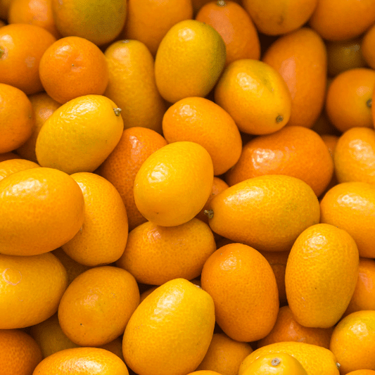 Nagami Kumquat (Citrus Japonica)