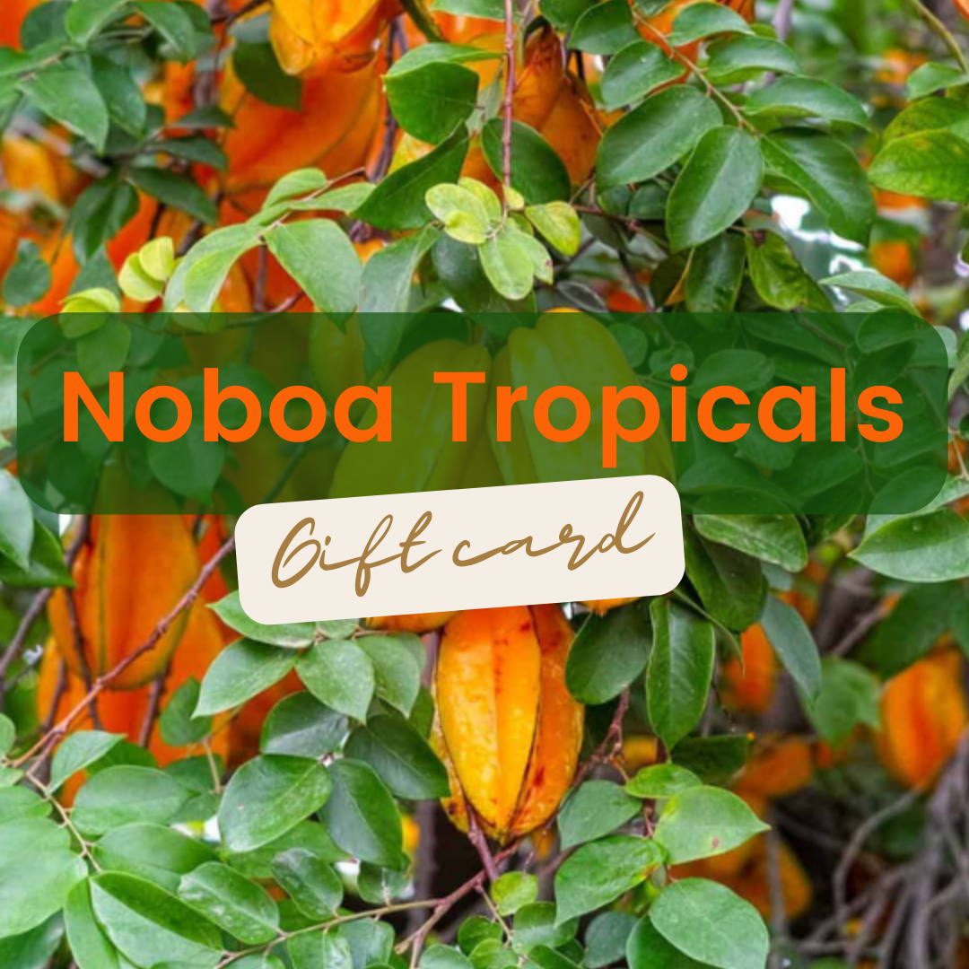 Tropical Delights Gift Card