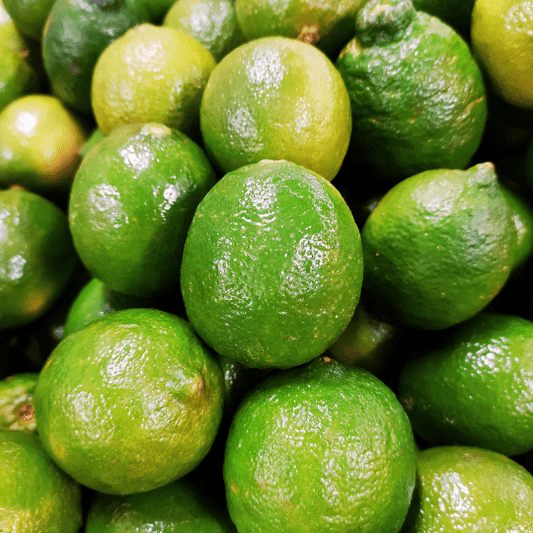 Persian Lime Plant (Citrus Latifolia)