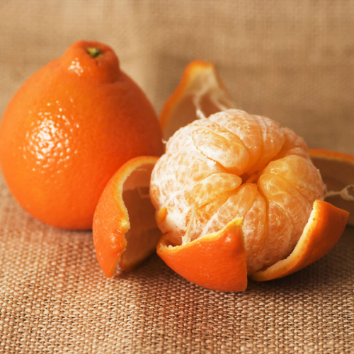 Tangelo Minneola (Citrus x tangelo)