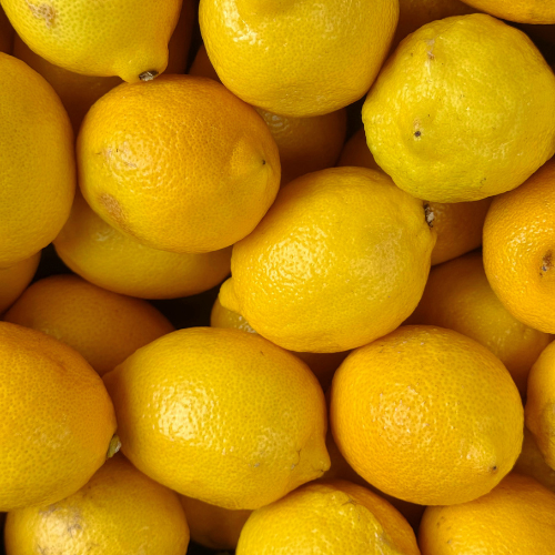 Improved Meyer Lemon (Citrus x meyeri 'improved)