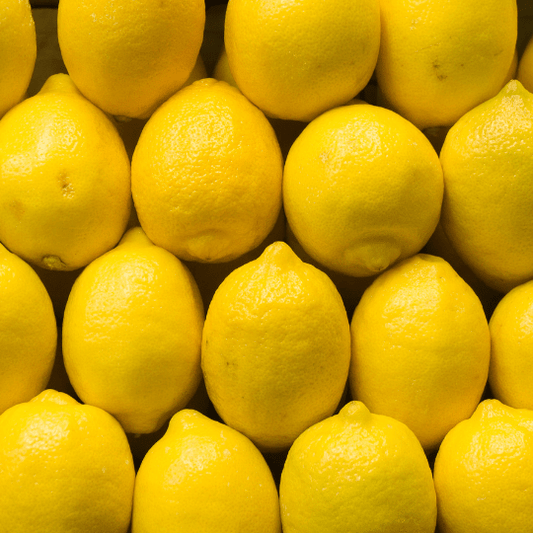 Eureka Lemon Plant (Citrus Limon x 'Eureka')