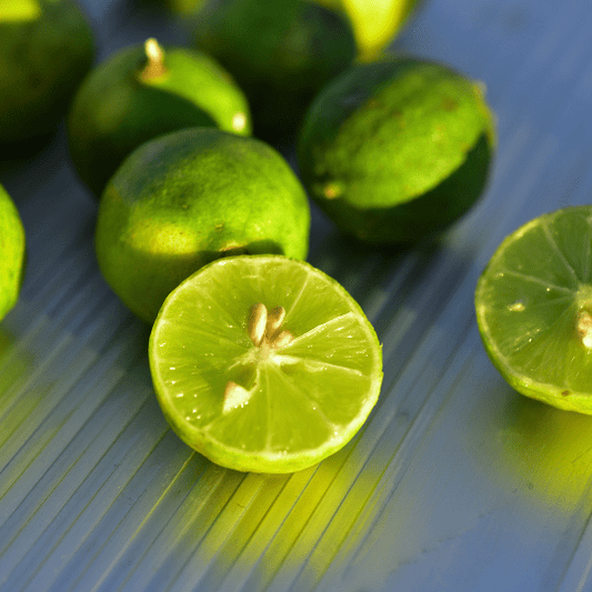 Key Lime Plant (Citrus Aurantifolia)
