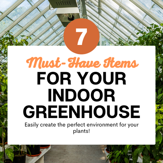 7 Must-Haves for Your Indoor Greenhouse