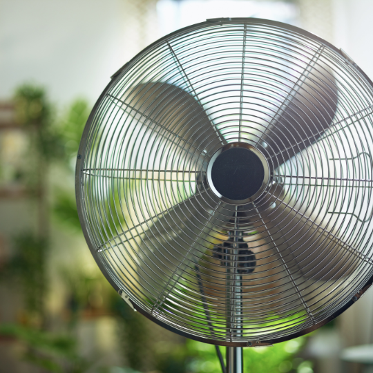 Your Greenhouse Needs a Fan