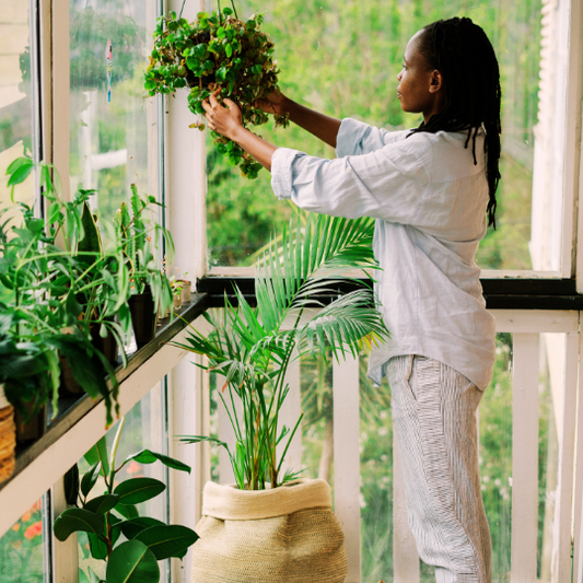 6 Essential Tips for Spring-Ready Tropical Plants