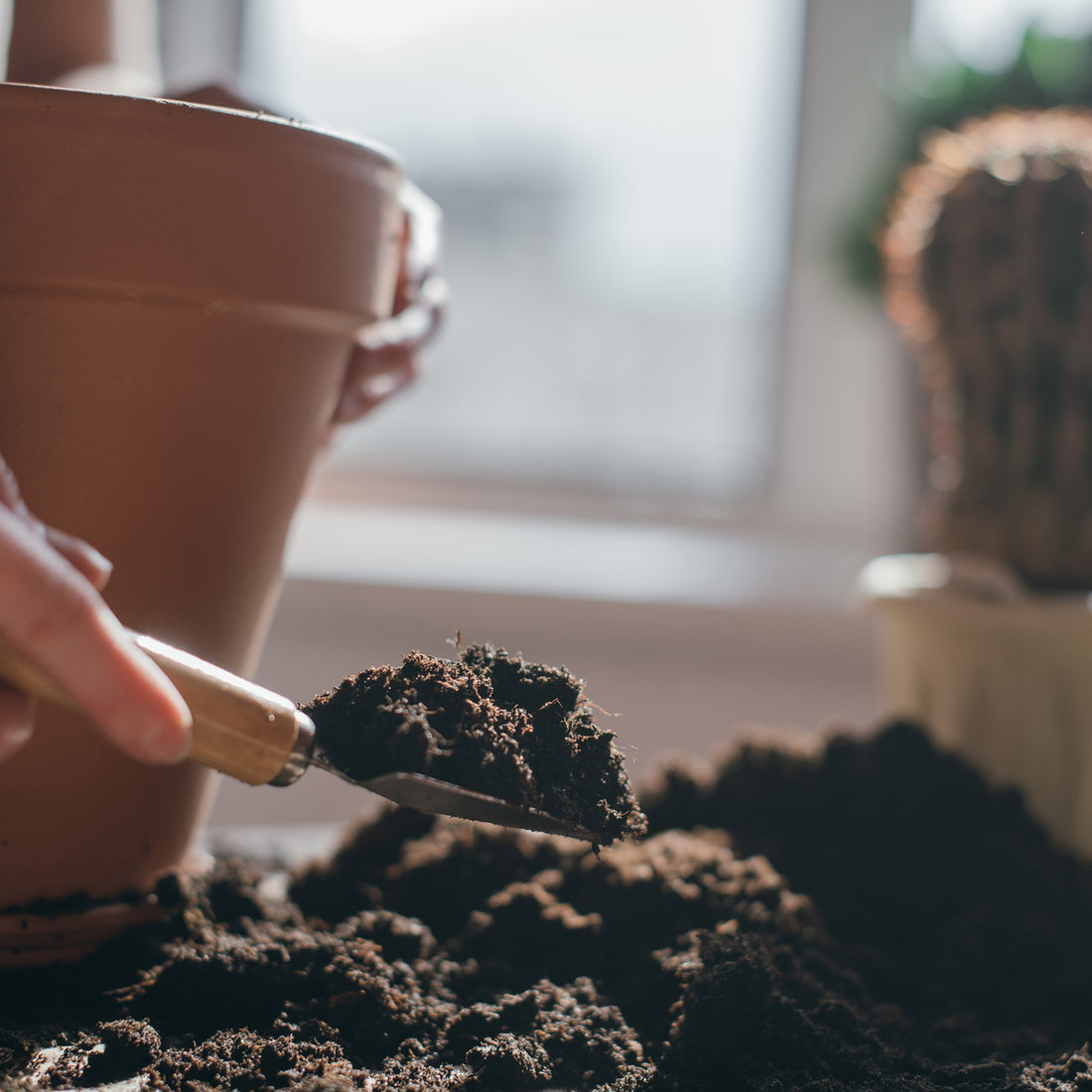 scooping potting mix into a plant pot