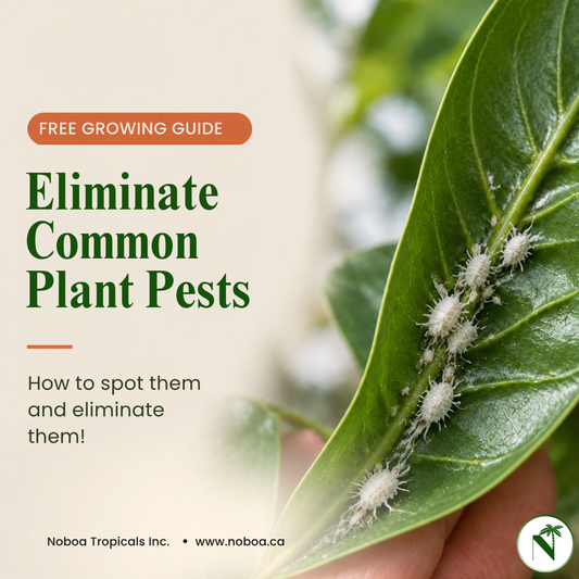 Eliminate Common Plant Pests (Digital Download)