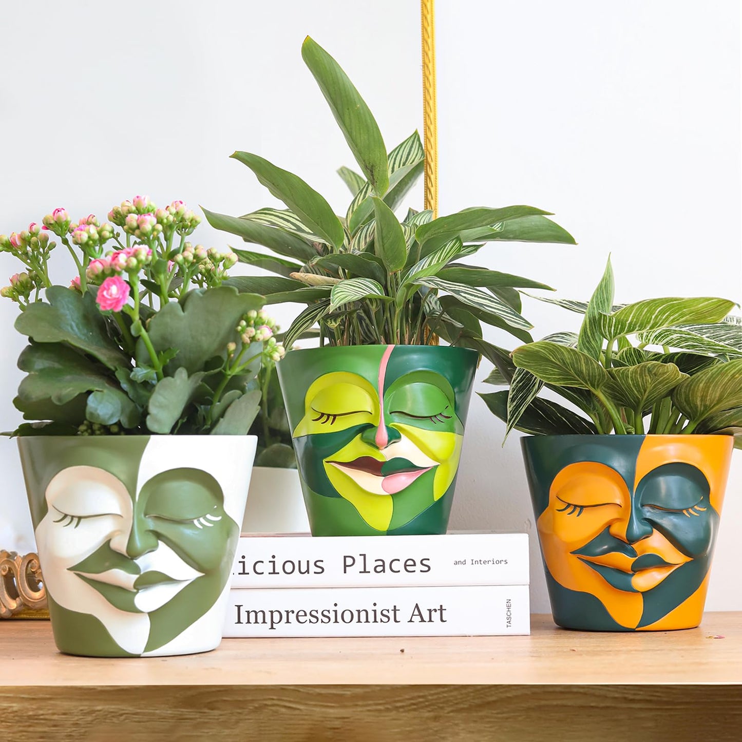 Unique Face Plant Pot with Drainage