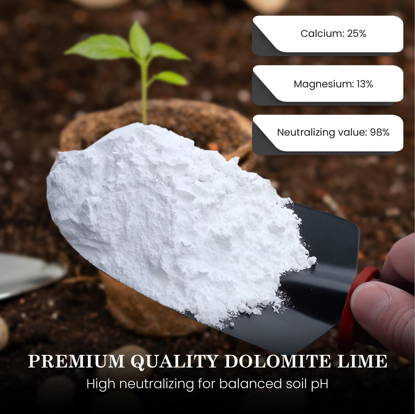 Dolomite Lime for Plants (adjust soil pH)