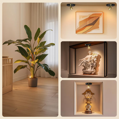 Cordless Plant Spotlight with Remote