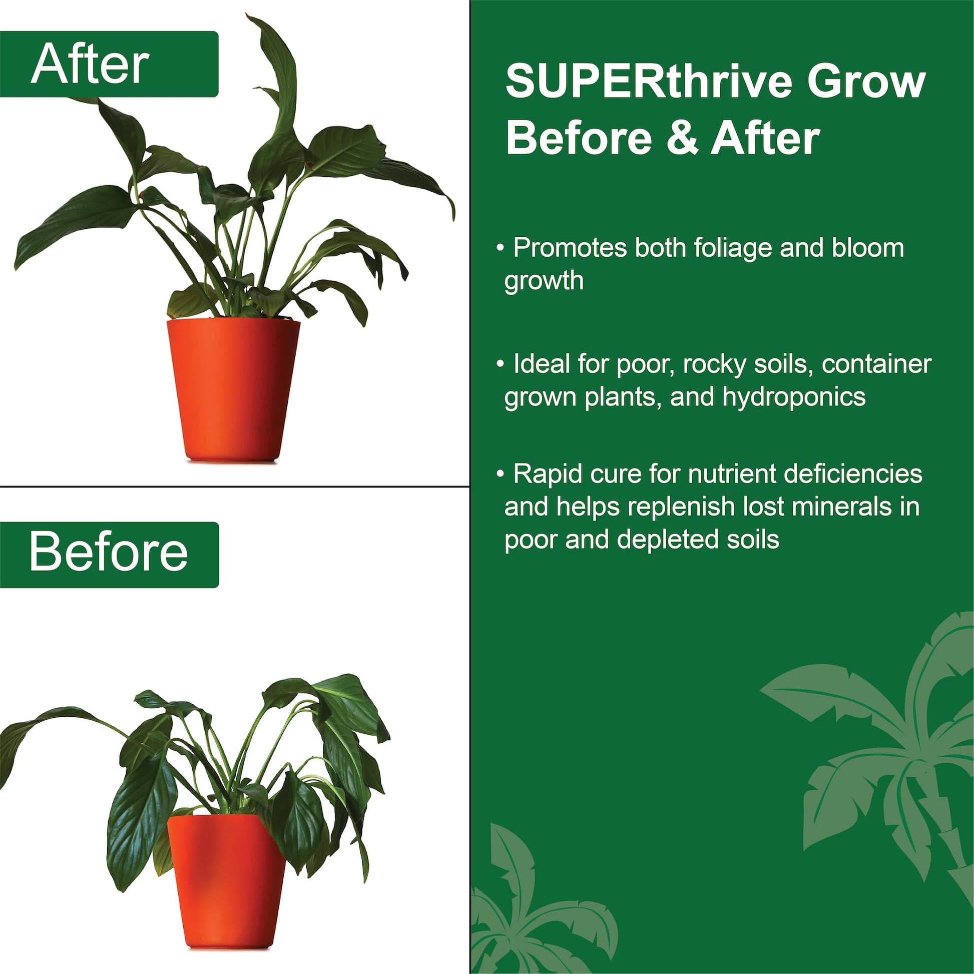 superthrive for indoor plants SUPERThrive Grow 7-9-5 Plant Food, 8 oz. – Noboa Tropicals