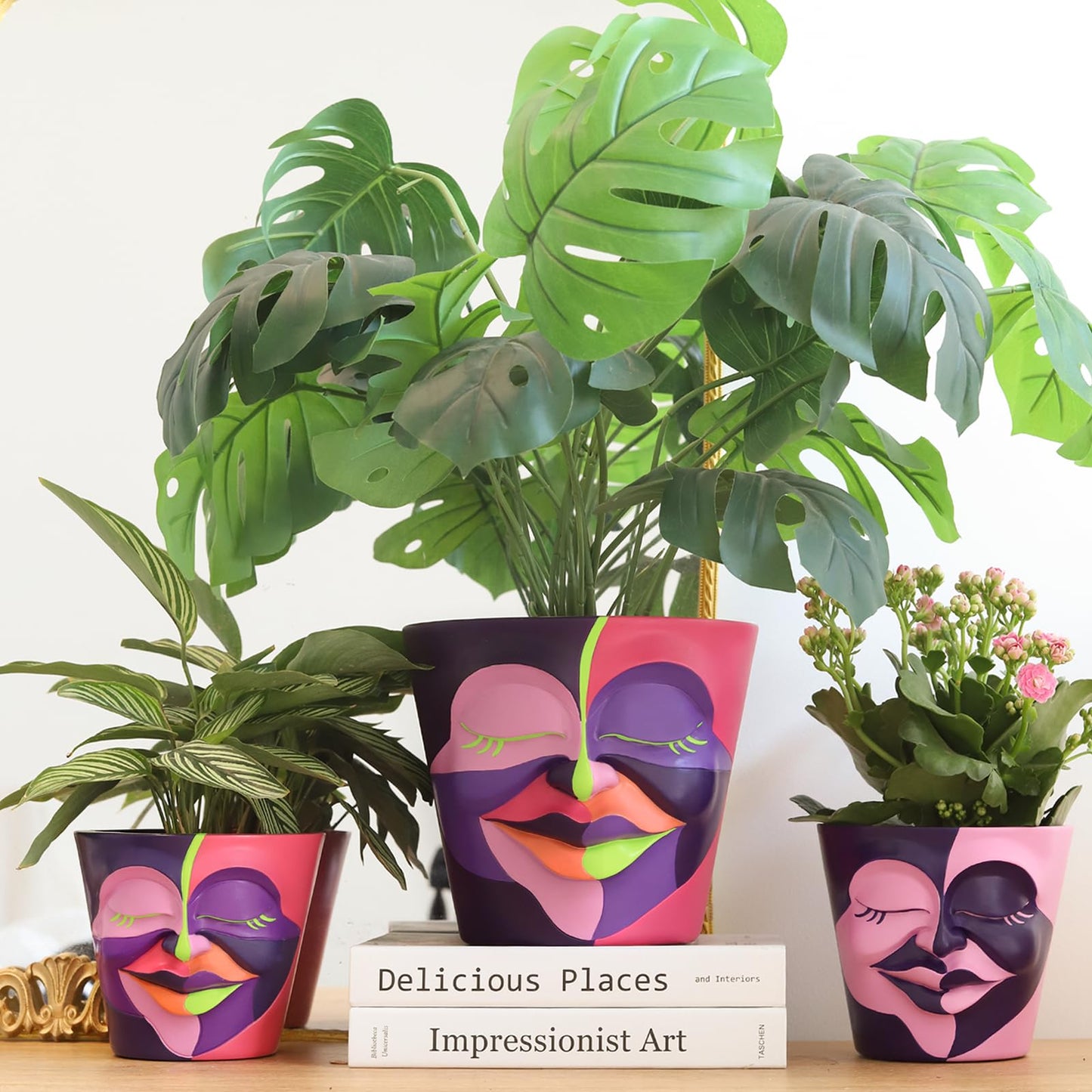 Unique Face Plant Pot with Drainage