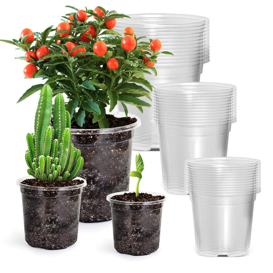 Clear Nursery Pots with Drainage Hole