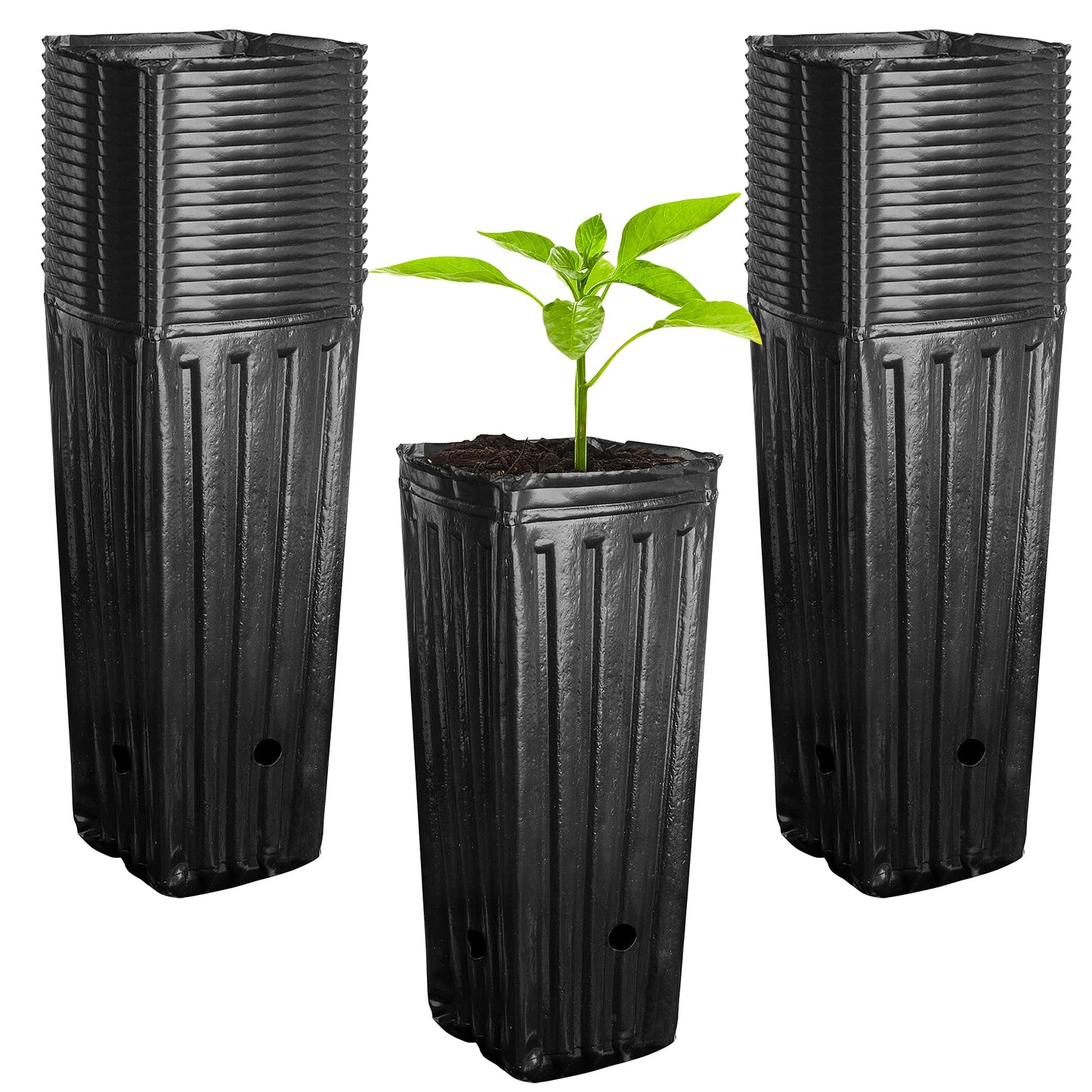 Deep Plant Pots