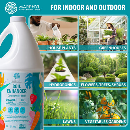 MARPHYL Organic Liquid Fertilizer