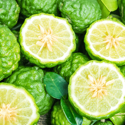 Makrut, Kaffir Lime (Citrus Hystrix)