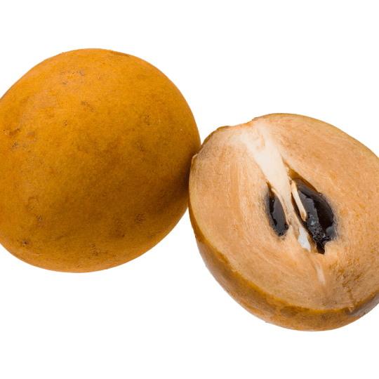 Sapodilla Plant (Manilkara Zapota)