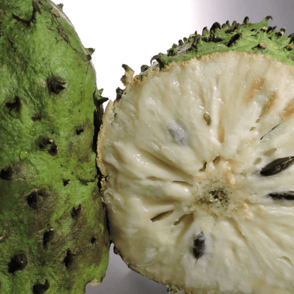 Soursop Plant (Annona Muricata)