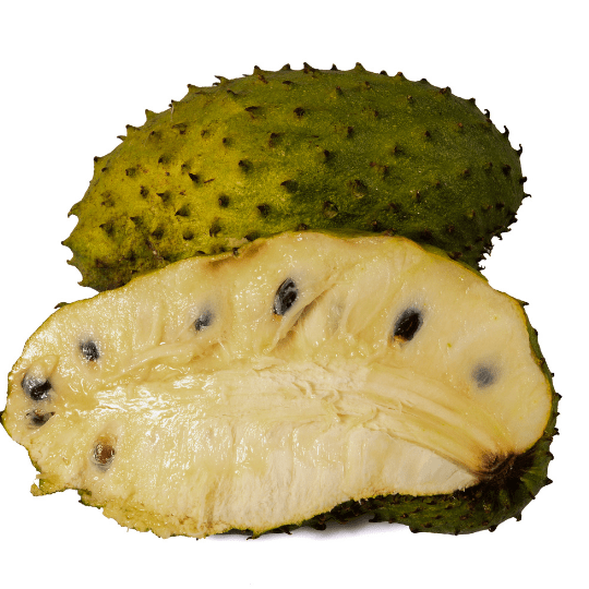 Soursop Plant (Annona Muricata)