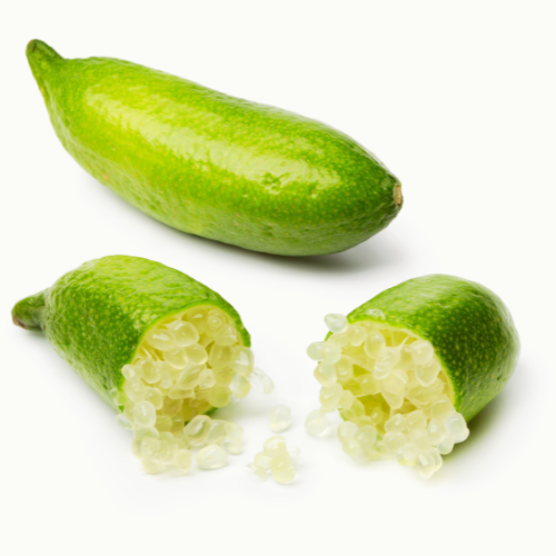 Australian Green Finger Lime (Citrus Australasica)