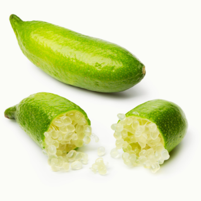 Australian Green Finger Lime (Citrus Australasica)