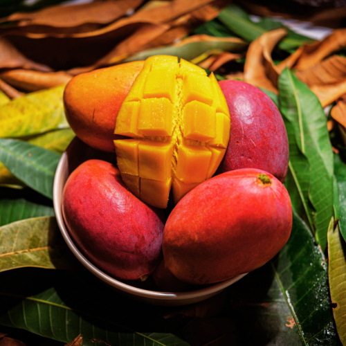 Crimson Delight Mango (Mangifera Indica)