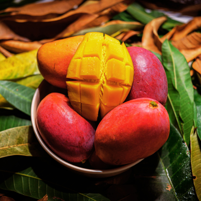 Crimson Delight Mango (Mangifera Indica)