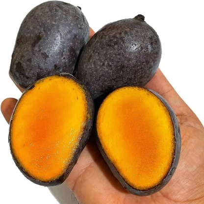 Casturi Mango (Kasturi): 6-25