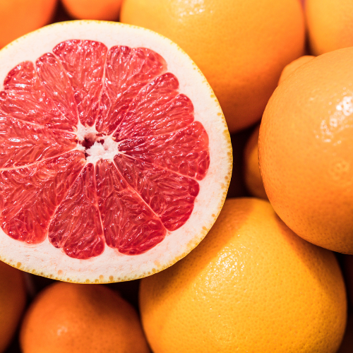 Star Ruby Grapefruit (Citrus x paradisi 'Start Ruby')