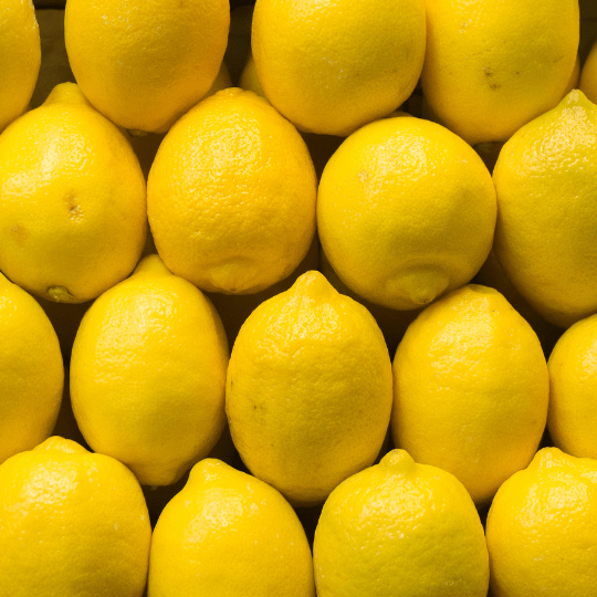 Normal Lemon Eureka Lemon Plant (Citrus Limon x 'Eureka') – Noboa Tropicals