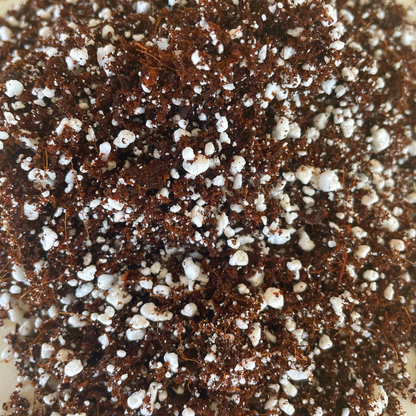 Coco Perlite Mix